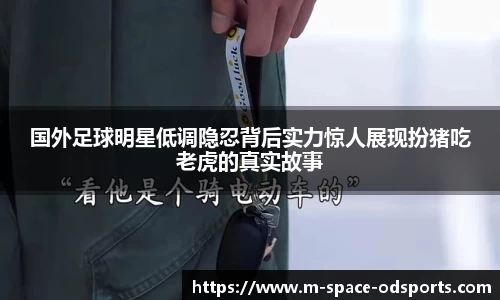 OD体育平台